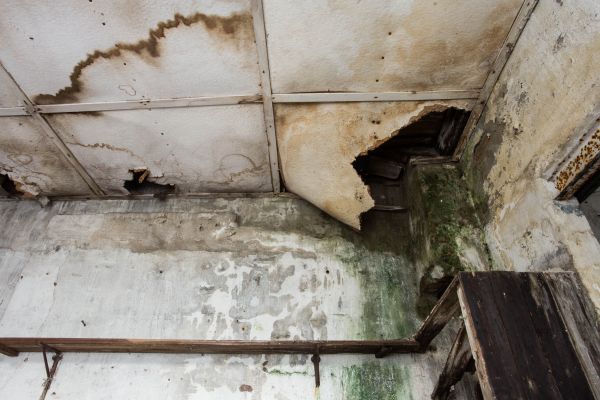 Water Damage Service in Vienna