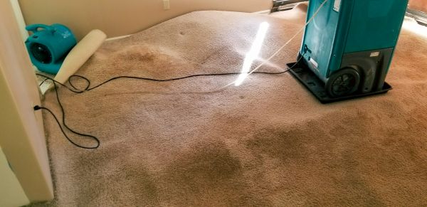 Carpet Water Extraction in Vienna